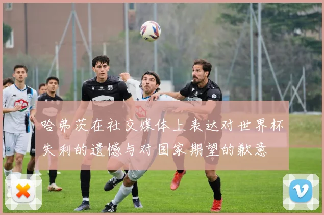 哈弗茨在社交媒体上表达对世界杯失利的遗憾与对国家期望的歉意