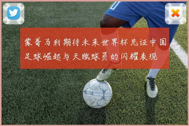 蒙哥马利期待未来世界杯见证中国足球崛起与天赋球员的闪耀表现